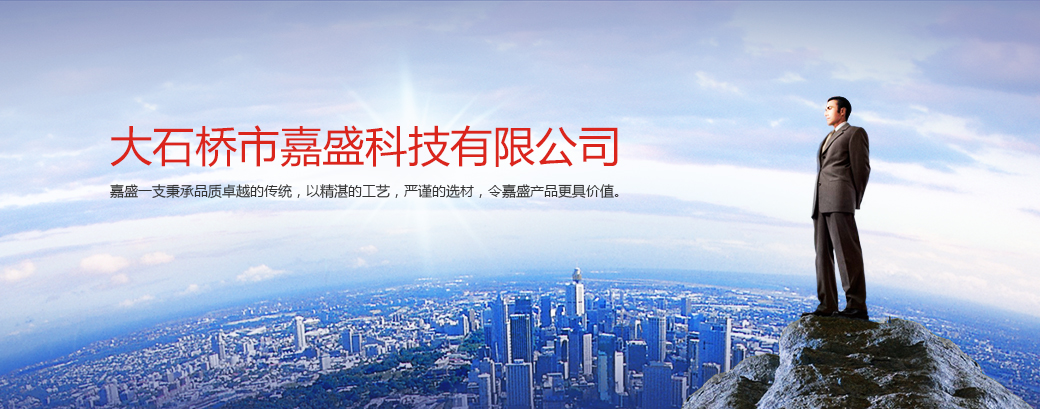 镁质蓄热砖